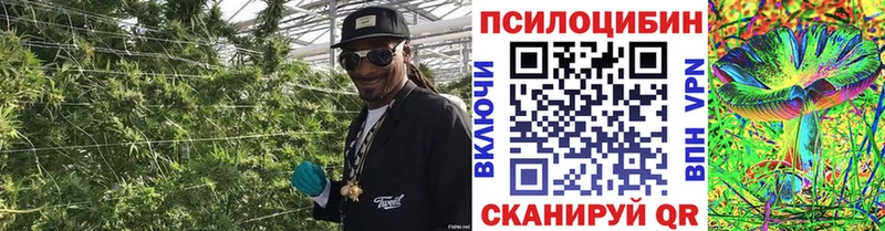 Галлюциногенные грибы Magic Shrooms  мега ТОР  Сосновый Бор 