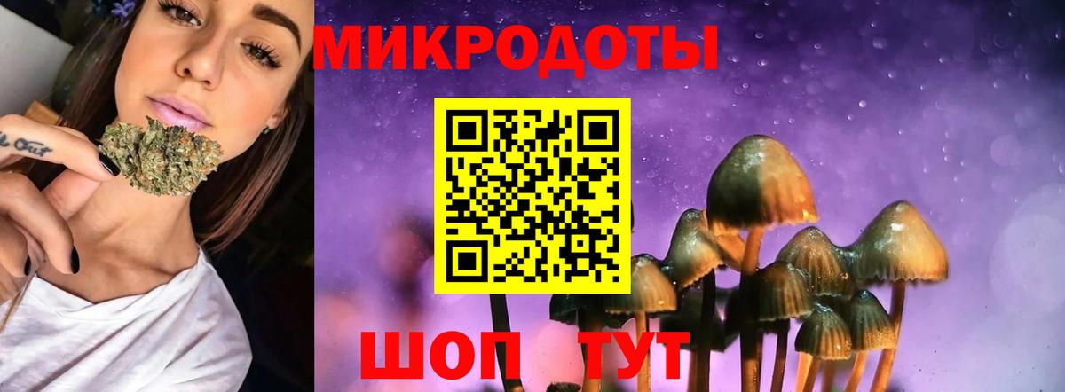 Галлюциногенные грибы Psilocybine cubensis Сосновый Бор